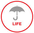 icon life insurance